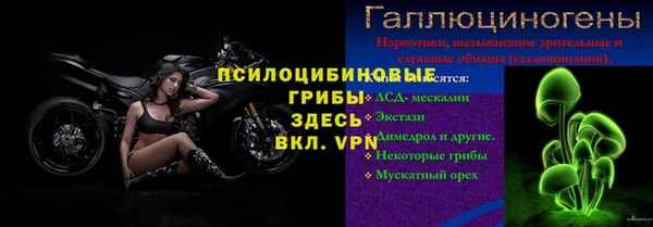 спайс Беломорск