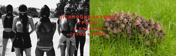 марки lsd Осташков
