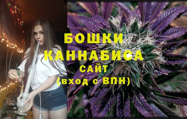 шишки Баксан