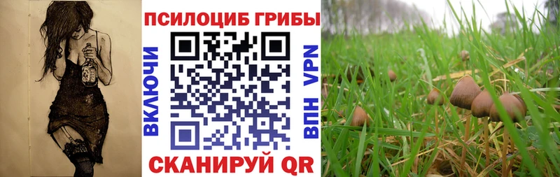 Галлюциногенные грибы мухоморы  Петрозаводск 